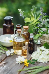 Alternative health care concept, fresh organic herbal plant, floral ingredients for therapy and cosmetics. Essential oil, flower extract. Homemade production, naturopathic treatment, skin, body care