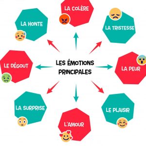 Formation "Gestion des Émotions"