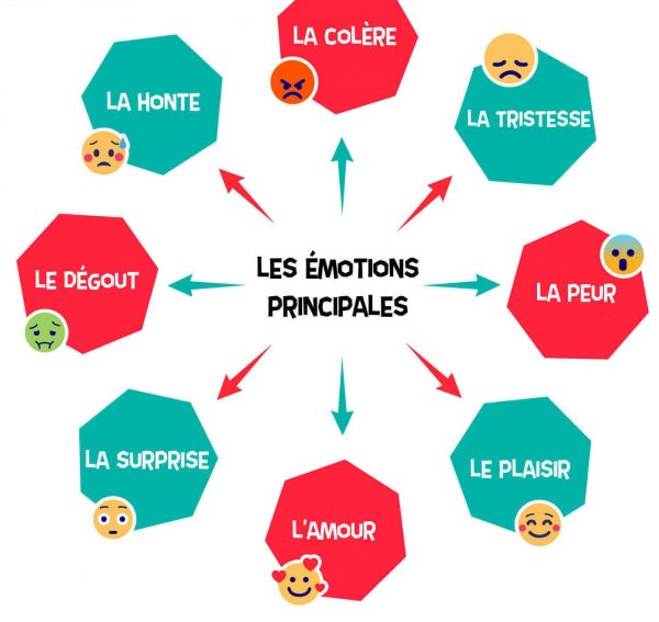 Formation "Gestion des Émotions"